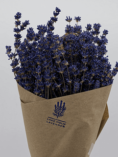Dried bundle - Lavandula Angustifolia