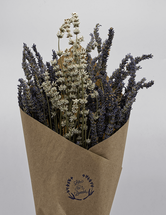 Dried bundle - Lavandula X-Intermedia - Image 3