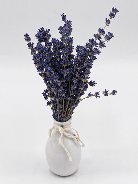 Lavender in mini-vase - Image 3