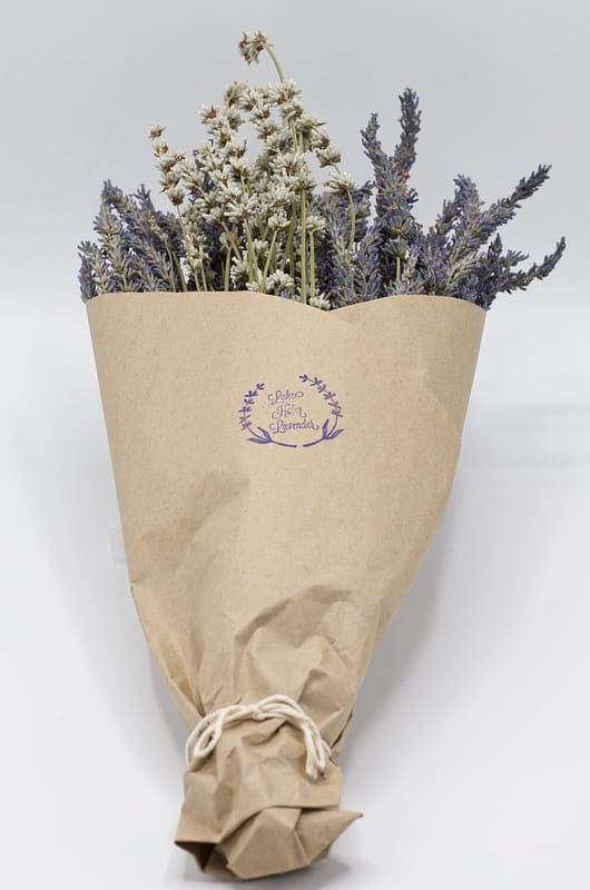 Dried bundle - Lavandula X-Intermedia - Image 4