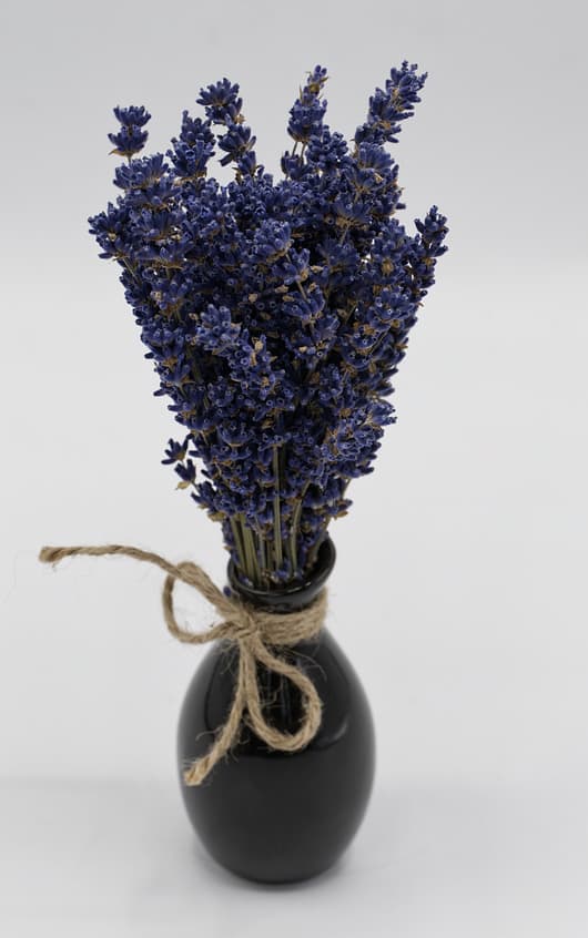 Lavender in mini-vase - Image 2